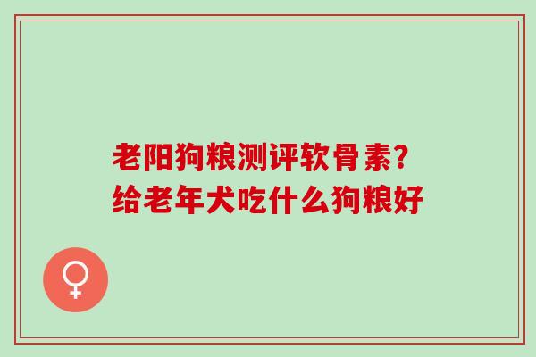 老阳狗粮测评软骨素？给老年犬吃什么狗粮好