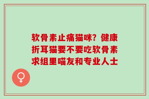 软骨素止痛猫咪？健康折耳猫要不要吃软骨素求组里喵友和专业人士