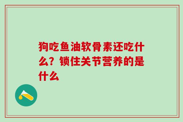 狗吃鱼油软骨素还吃什么？锁住关节营养的是什么