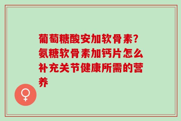 葡萄糖酸安加软骨素？氨糖软骨素加钙片怎么补充关节健康所需的营养