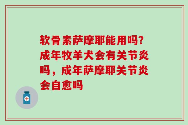 软骨素萨摩耶能用吗？成年牧羊犬会有关节炎吗，成年萨摩耶关节炎会自愈吗