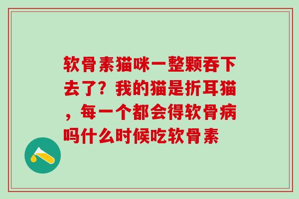 软骨素猫咪一整颗吞下去了?我的猫是折耳猫,每一个都会得软骨吗什么时候吃软骨素 软骨素猫咪一整颗吞下去了?我的猫是折耳猫,每一个都会得软骨吗什么时候吃软骨素