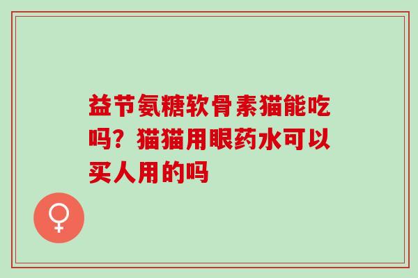 益节氨糖软骨素猫能吃吗?猫猫用眼药水可以买人用的吗 益节氨糖软骨素猫能吃吗?猫猫用眼药水可以买人用的吗