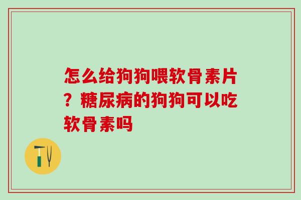 怎么给狗狗喂软骨素片？糖尿病的狗狗可以吃软骨素吗