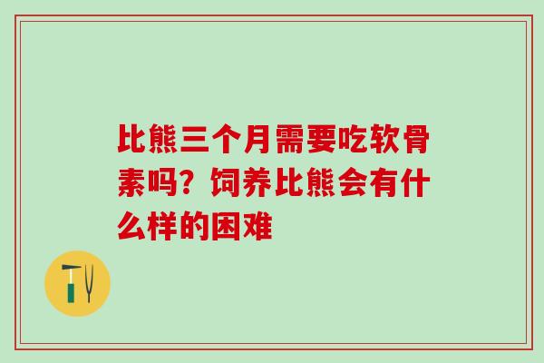 比熊三个月需要吃软骨素吗？饲养比熊会有什么样的困难
