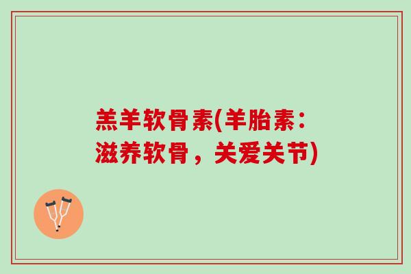 羔羊软骨素(羊胎素：滋养软骨，关爱关节)