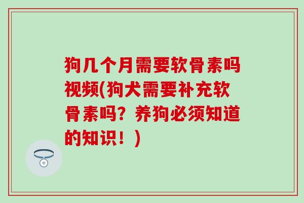 狗几个月需要软骨素吗视频(狗犬需要补充软骨素吗？养狗必须知道的知识！)