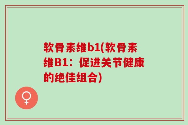 软骨素维b1(软骨素维B1：促进关节健康的绝佳组合)