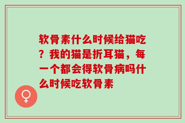 软骨素什么时候给猫吃？我的猫是折耳猫，每一个都会得软骨病吗什么时候吃软骨素