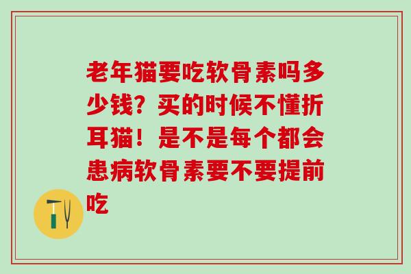 老年猫要吃软骨素吗多少钱？买的时候不懂折耳猫！是不是每个都会患病软骨素要不要提前吃