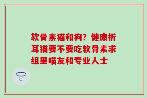 软骨素猫和狗？健康折耳猫要不要吃软骨素求组里喵友和专业人士