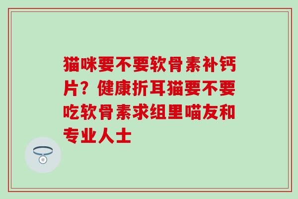 猫咪要不要软骨素补钙片？健康折耳猫要不要吃软骨素求组里喵友和专业人士