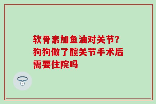 软骨素加鱼油对关节？狗狗做了髋关节手术后需要住院吗