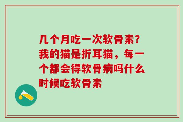 几个月吃一次软骨素？我的猫是折耳猫，每一个都会得软骨病吗什么时候吃软骨素