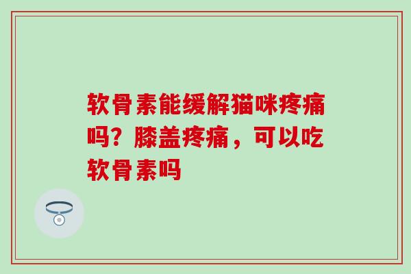 软骨素能缓解猫咪疼痛吗？膝盖疼痛，可以吃软骨素吗