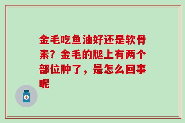 金毛吃鱼油好还是软骨素？金毛的腿上有两个部位肿了，是怎么回事呢