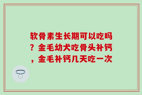 软骨素生长期可以吃吗?金毛幼犬吃骨头补钙,金毛补钙几天吃一次 软骨素生长期可以吃吗?金毛幼犬吃骨头补钙,金毛补钙几天吃一次