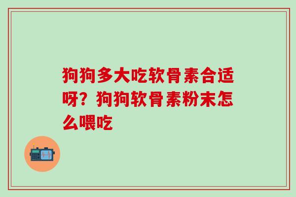 狗狗多大吃软骨素合适呀?狗狗软骨素粉末怎么喂吃 狗狗多大吃软骨素合适呀?狗狗软骨素粉末怎么喂吃