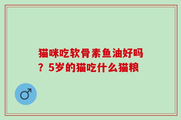 猫咪吃软骨素鱼油好吗？5岁的猫吃什么猫粮
