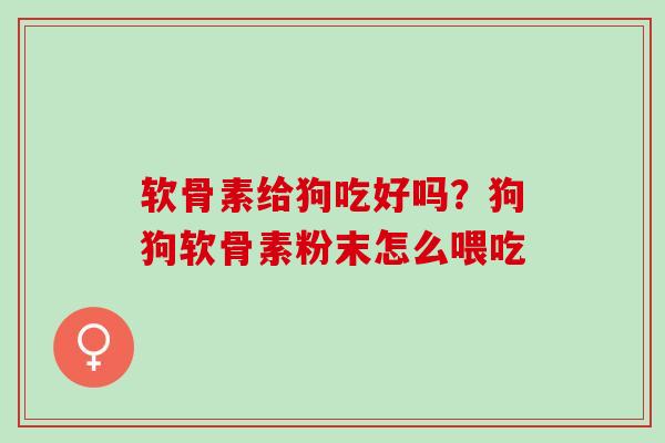 软骨素给狗吃好吗？狗狗软骨素粉末怎么喂吃