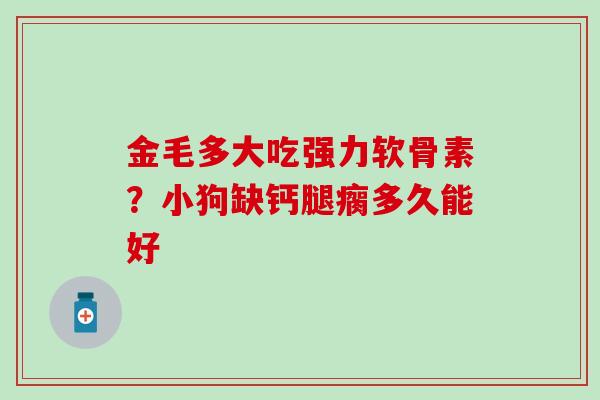 金毛多大吃强力软骨素？小狗缺钙腿瘸多久能好