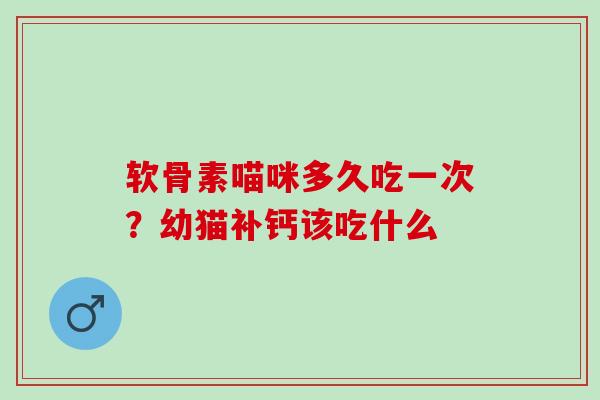 软骨素喵咪多久吃一次？幼猫补钙该吃什么