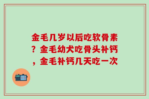 金毛几岁以后吃软骨素？金毛幼犬吃骨头补钙，金毛补钙几天吃一次