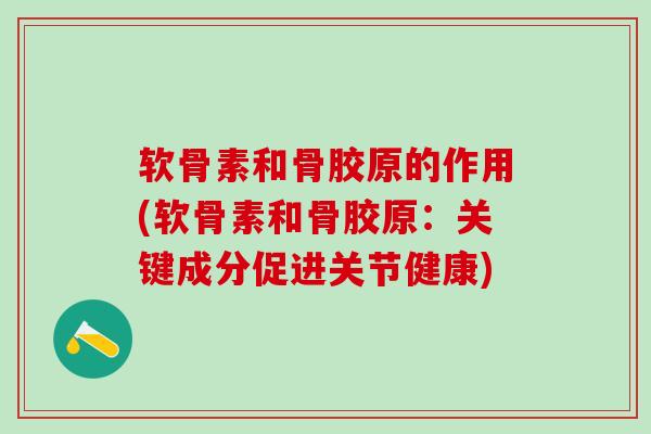软骨素和骨胶原的作用(软骨素和骨胶原：关键成分促进关节健康)