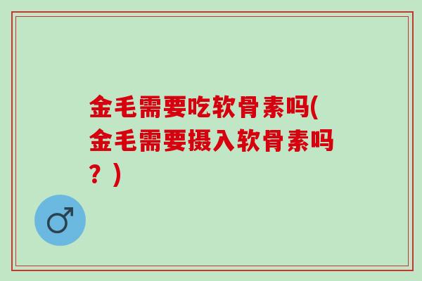 金毛需要吃软骨素吗(金毛需要摄入软骨素吗？)