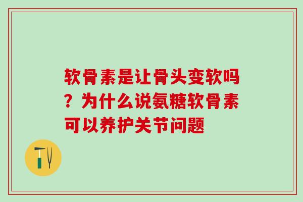 软骨素是让骨头变软吗？为什么说氨糖软骨素可以养护关节问题