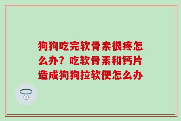 狗狗吃完软骨素很疼怎么办？吃软骨素和钙片造成狗狗拉软便怎么办