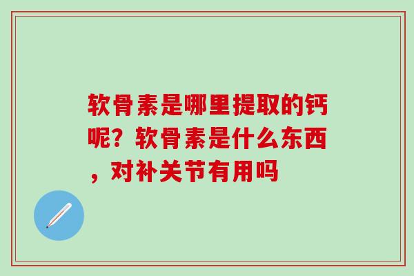 软骨素是哪里提取的钙呢？软骨素是什么东西，对补关节有用吗