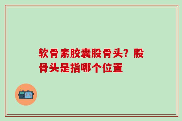 软骨素胶囊股骨头？股骨头是指哪个位置