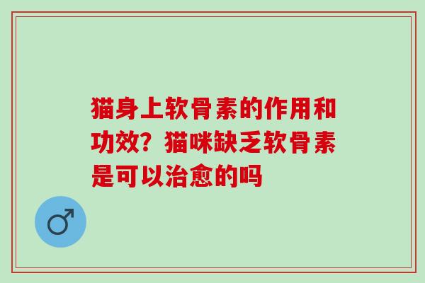 猫身上软骨素的作用和功效？猫咪缺乏软骨素是可以治愈的吗