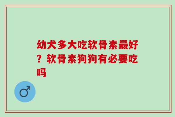 幼犬多大吃软骨素最好？软骨素狗狗有必要吃吗