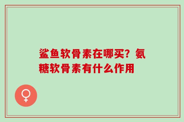 鲨鱼软骨素在哪买？氨糖软骨素有什么作用