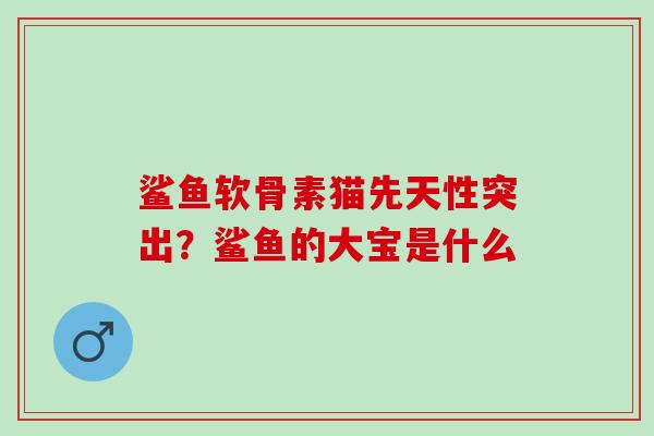 鲨鱼软骨素猫先天性突出？鲨鱼的大宝是什么