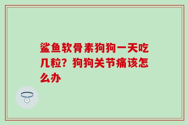鲨鱼软骨素狗狗一天吃几粒？狗狗关节痛该怎么办