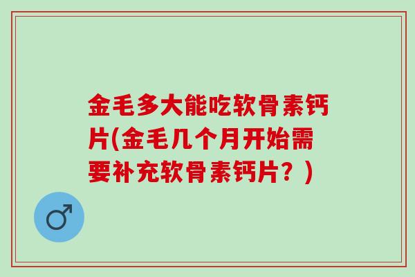 金毛多大能吃软骨素钙片(金毛几个月开始需要补充软骨素钙片？)
