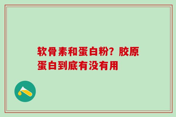 软骨素和蛋白粉？胶原蛋白到底有没有用