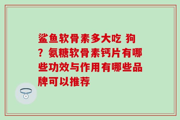 鲨鱼软骨素多大吃 狗？氨糖软骨素钙片有哪些功效与作用有哪些品牌可以推荐
