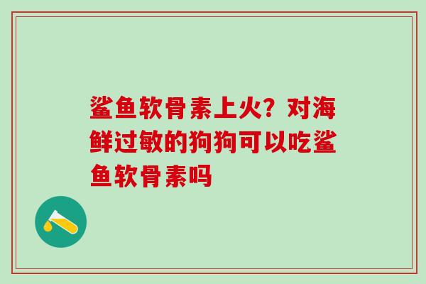 鲨鱼软骨素上火？对海鲜过敏的狗狗可以吃鲨鱼软骨素吗