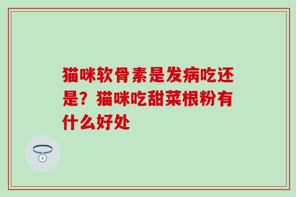 猫咪软骨素是发病吃还是？猫咪吃甜菜根粉有什么好处