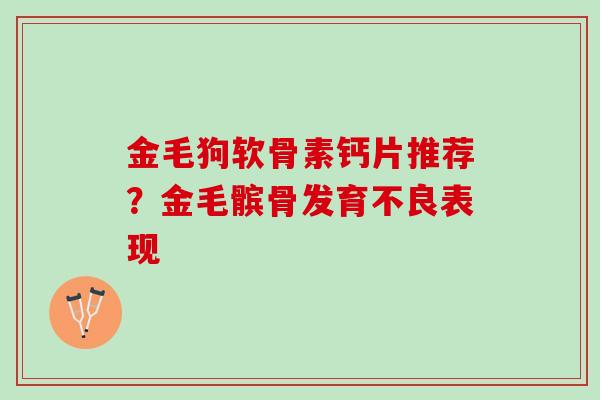 金毛狗软骨素钙片推荐？金毛髌骨发育不良表现