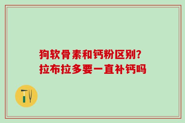 狗软骨素和钙粉区别？拉布拉多要一直补钙吗