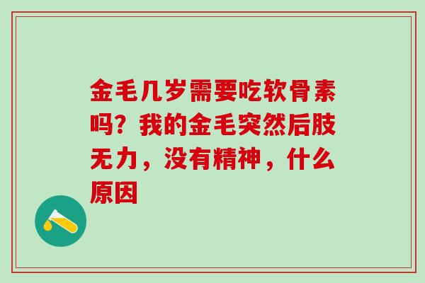 金毛几岁需要吃软骨素吗？我的金毛突然后肢无力，没有精神，什么原因