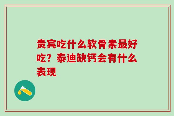 贵宾吃什么软骨素最好吃？泰迪缺钙会有什么表现