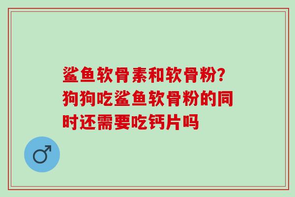 鲨鱼软骨素和软骨粉?狗狗吃鲨鱼软骨粉的同时还需要吃钙片吗 鲨鱼软骨素和软骨粉?狗狗吃鲨鱼软骨粉的同时还需要吃钙片吗