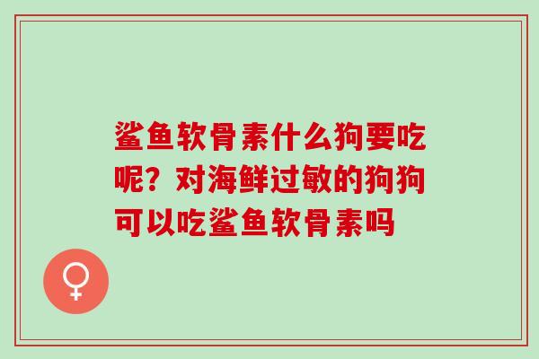 鲨鱼软骨素什么狗要吃呢？对海鲜过敏的狗狗可以吃鲨鱼软骨素吗