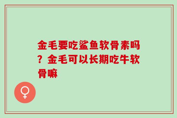 金毛要吃鲨鱼软骨素吗？金毛可以长期吃牛软骨嘛